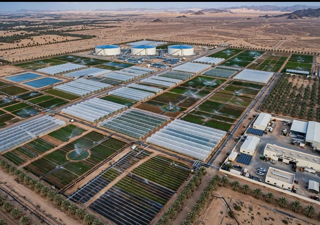 Aerial view of agricultural growing areas