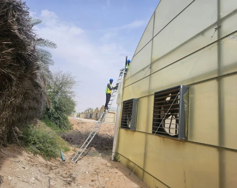 Greenhouse Maintenance — Agri Royal