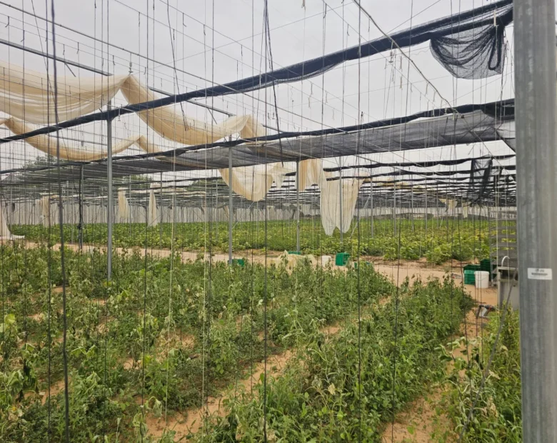 Net House Interior — Agri Royal